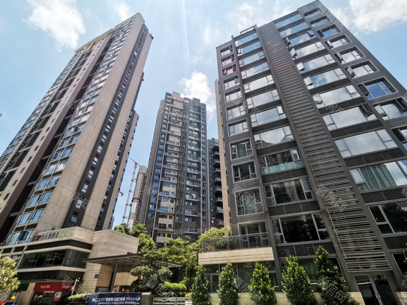 深圳红树别院小区信息图片1