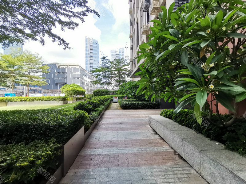 深圳大冲新城花园C区小区信息图片5