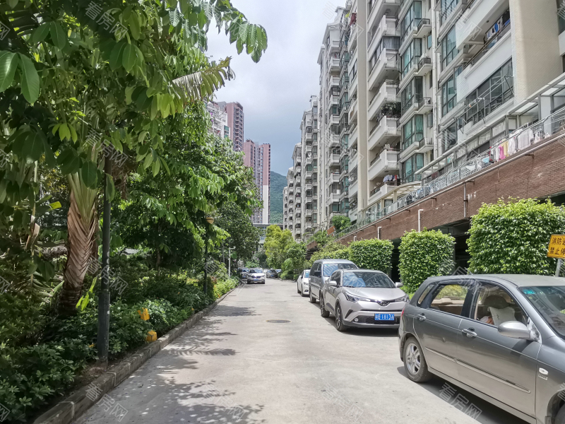 深圳合正锦园北区小区信息图片3