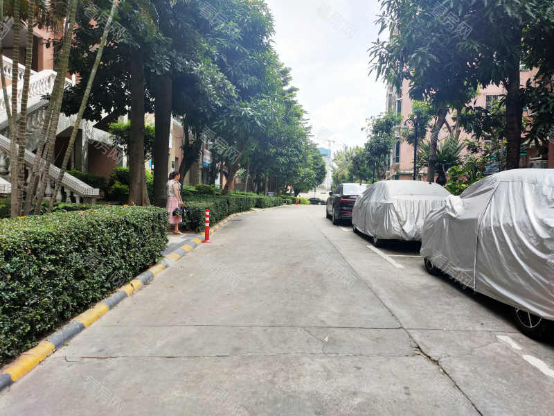 深圳阳光花园小区信息图片2