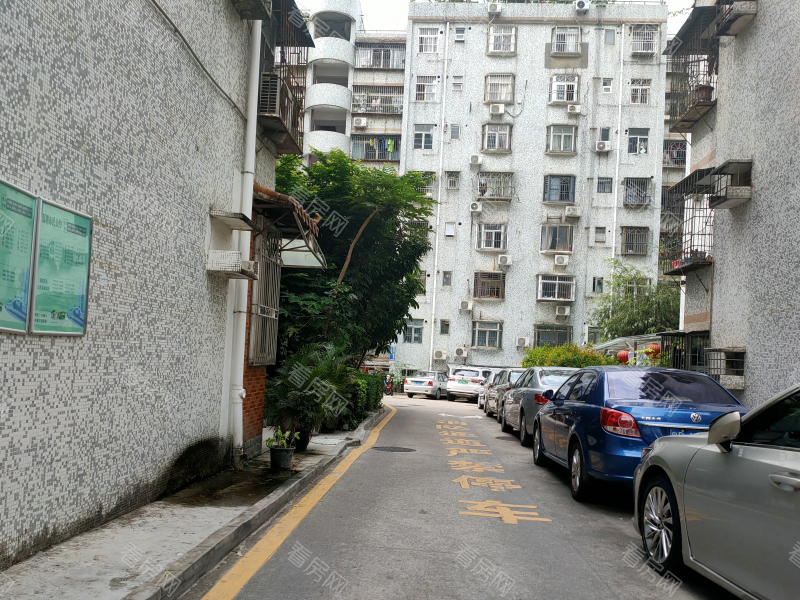 深圳畔山花园小区信息图片3