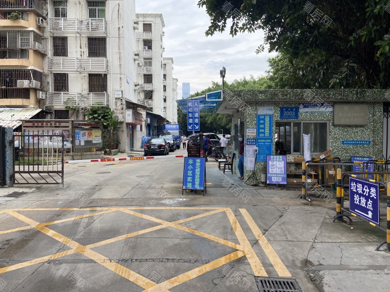 深圳深大新村小区信息图片4