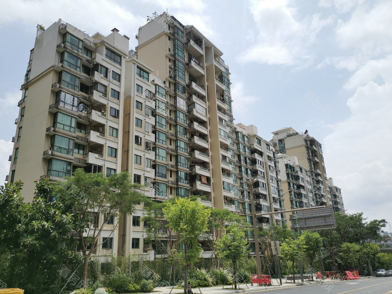 深圳合正锦园南区小区信息图片9