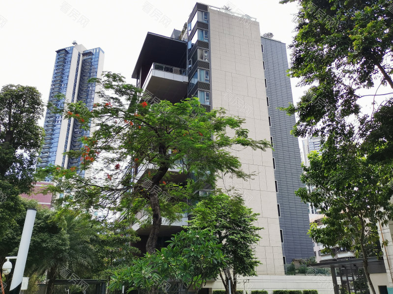 深圳红树别院小区信息图片10