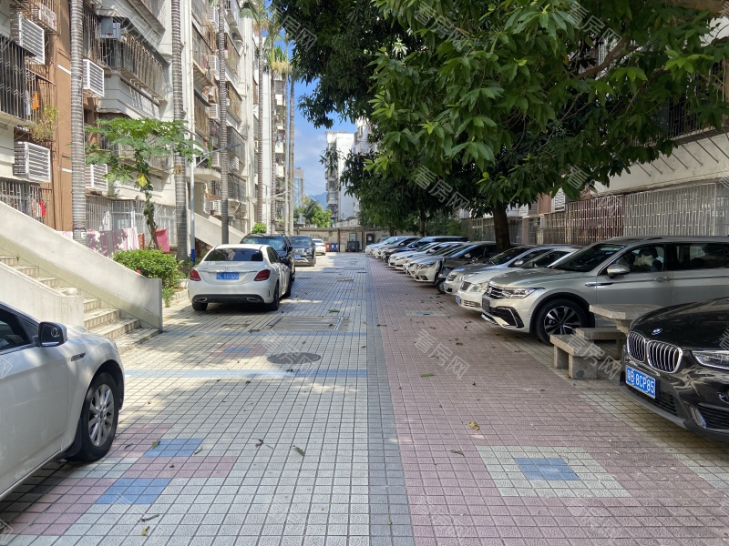 深圳文锦渡海关三院生活区小区信息图片3