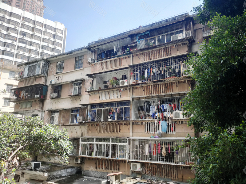 深圳凤凰路58号大院小区信息图片6