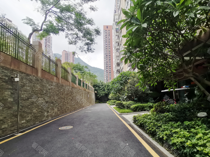 深圳合正锦园南区小区信息图片5