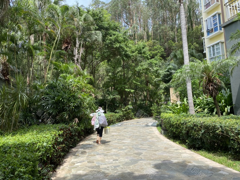 深圳新世界鹿茵翠地小区信息图片5