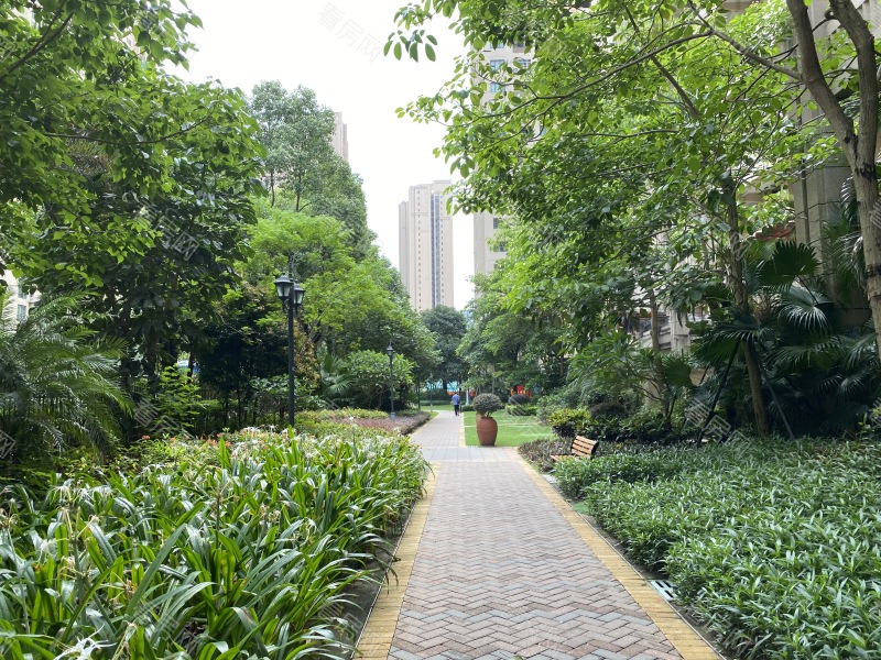 深圳万科金域缇香一期小区信息图片4