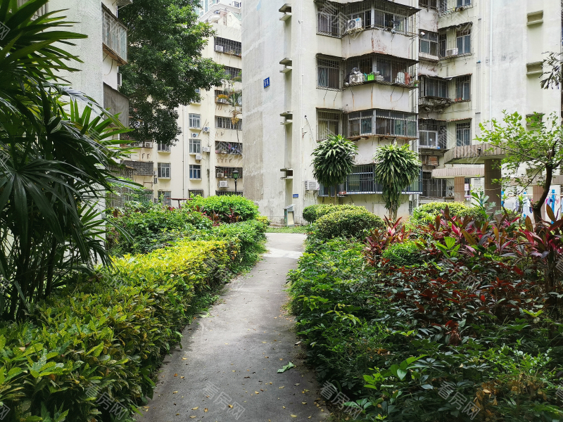 深圳康乐园小区信息图片7