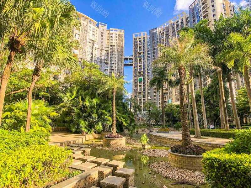 深圳金泓凯旋城一期小区信息图片6