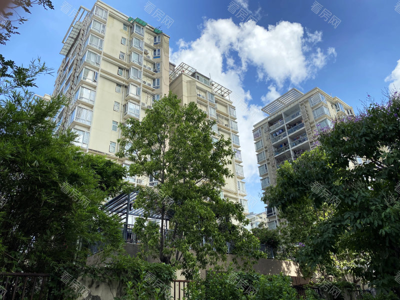 深圳科苑学里小区信息图片11