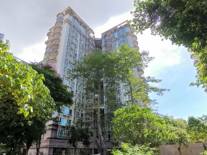 深圳星海名城二期小区信息图片14