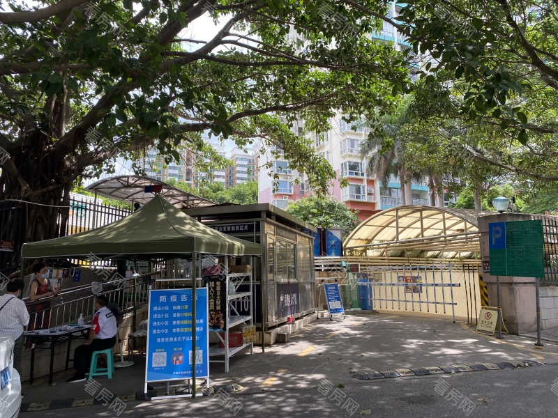 深圳桐景花园小区信息图片2