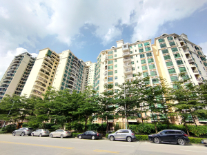 惠州中区华府小区信息图片