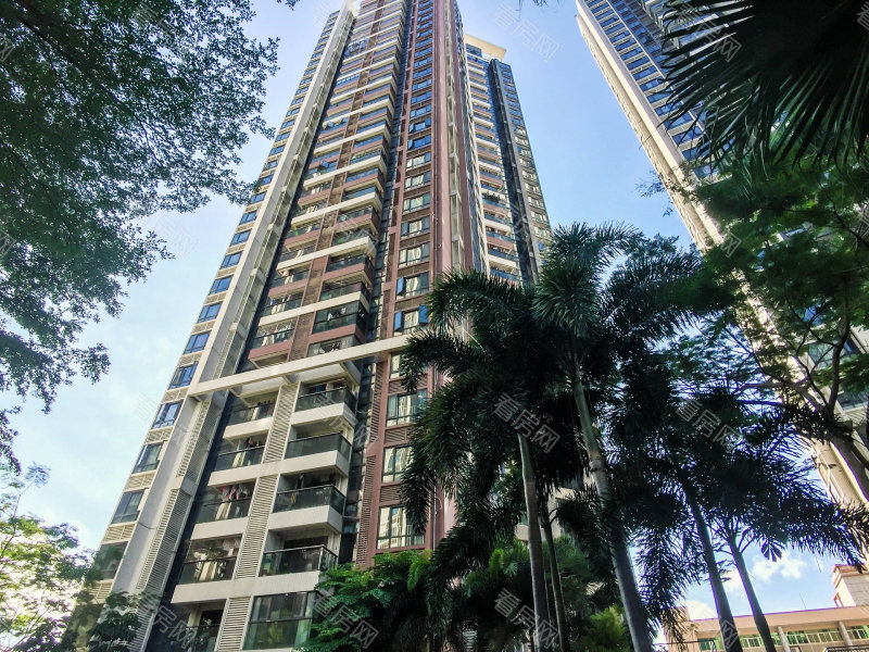 深圳中熙香缤山小区信息图片49