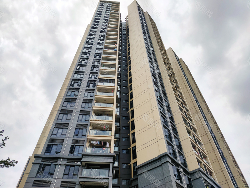 深圳花语馨小区信息图片9