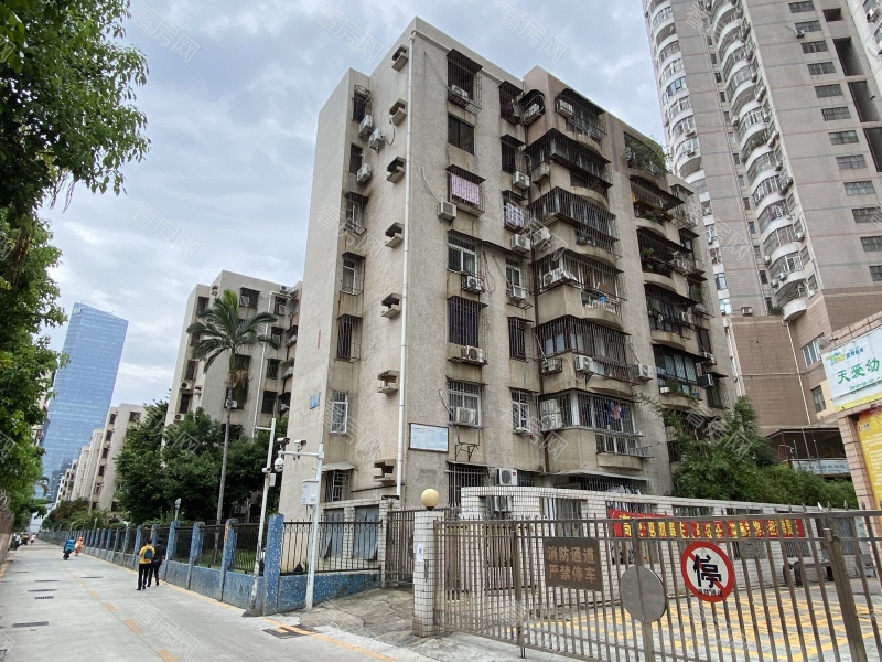 深圳深大新村小区信息图片2