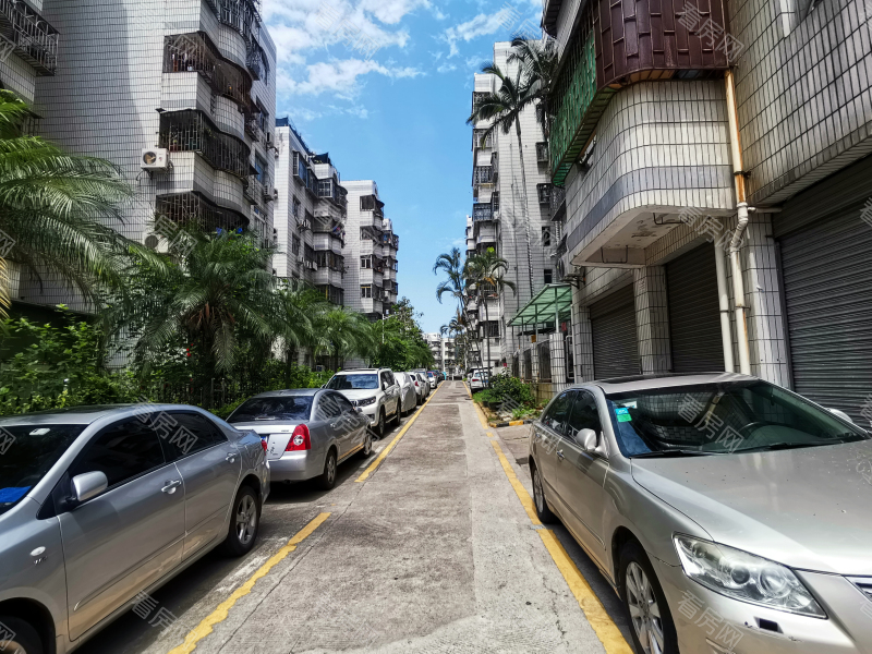 深圳德兴花园北区小区信息图片6