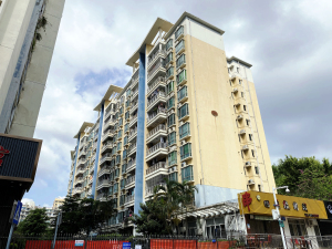 深圳大世纪杰座小区信息图片