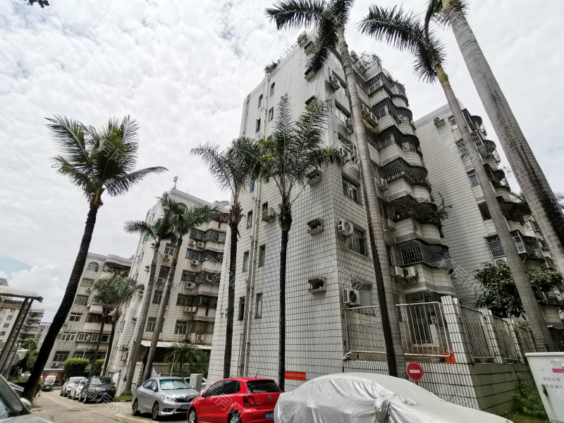 深圳德兴花园北区小区信息图片13