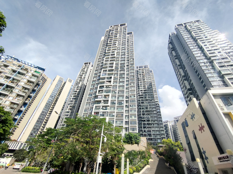 深圳栖游记小区信息图片1