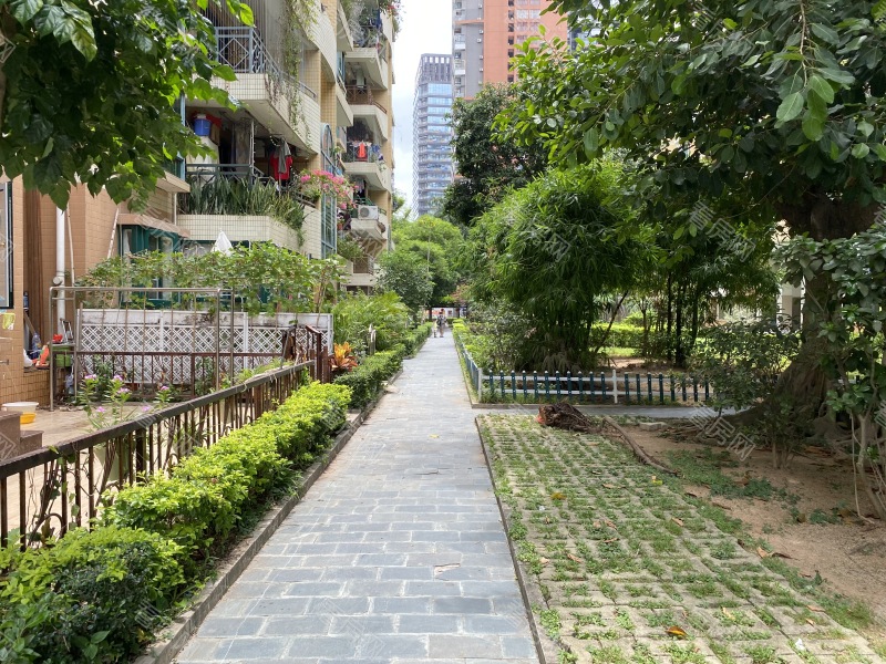 深圳学府花园小区信息图片3