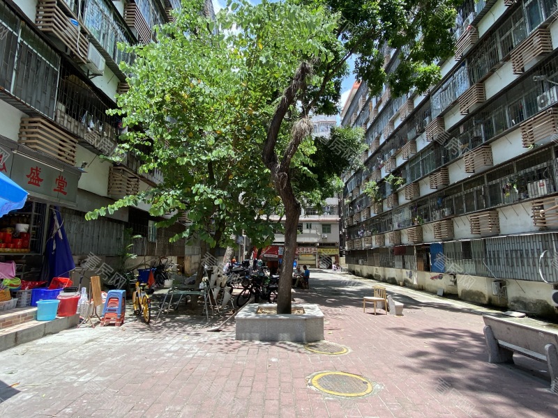 深圳鹏基公寓小区信息图片3