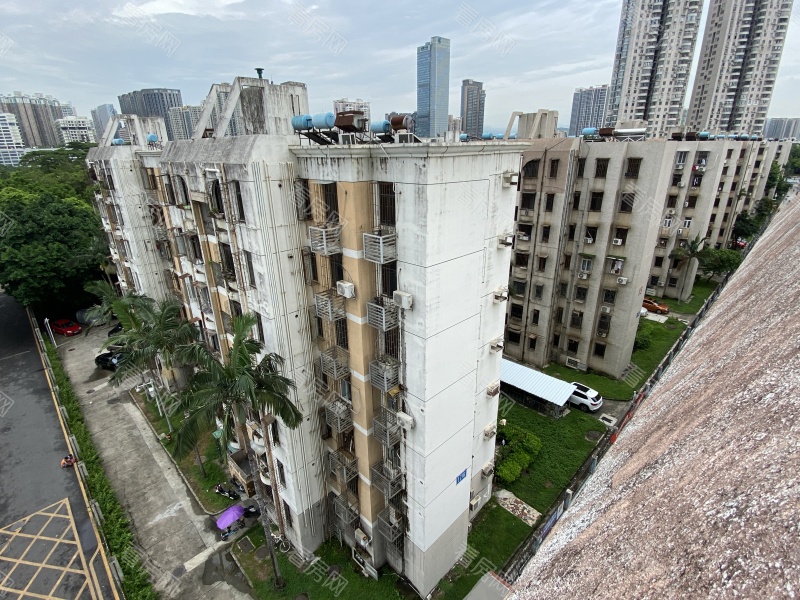 深圳深大新村小区信息图片8