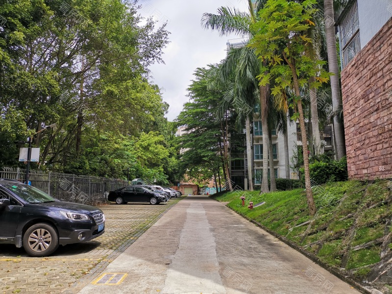 深圳东部明珠雅苑小区信息图片3