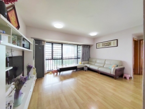 花样年花乡 宝安中心57平两房,总价409万 花样年花乡 宝安中心57平两房,总价409万深圳宝安区宝安中心二手房图片