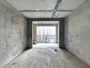 云鼎天阙 2室2厅 85㎡ 毛坯郴州北湖区骆仙二手房图片