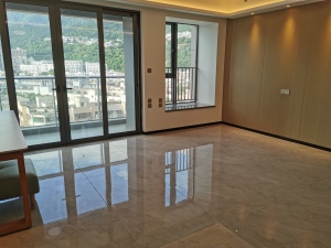 鹏瑞尚府北区 4室2厅 117.62㎡ 精装深圳盐田区沙头角二手房图片