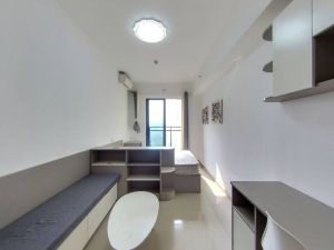 万科金色领域 1室1厅 64.24㎡_佛山南海区千灯湖租房图片