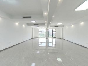顺天大华天都 1室1厅 152㎡ 精装郴州北湖区骆仙二手房图片