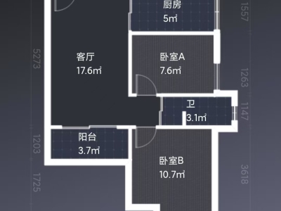 中央城一期(章贡区)小区2室2厅1卫户型图1