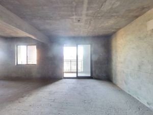 佳源酃湖都市 3室2厅 118㎡ 毛坯衡阳珠晖区酃湖万达广场二手房图片