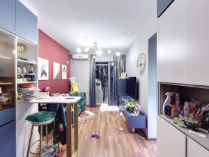 西城雅筑 42平精装1房，南北通透总价360万深圳宝安区宝安中心二手房图片