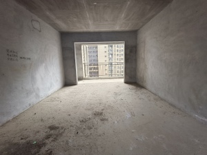 恒隆国际 4室2厅 141㎡ 毛坯_郴州北湖区梨树山二手房图片