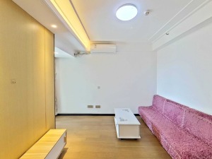 金地龙城中央 65平1房1厅总价105万深圳龙岗区龙岗中心城二手房图片