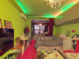 鹏基公寓 1室1厅 30.52㎡ 满五年深圳罗湖区莲塘二手房图片