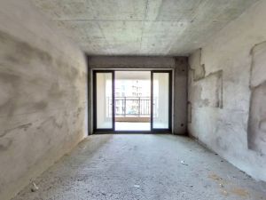 凤城郦都 3室2厅 117㎡ 毛坯清远清城区新城二手房图片