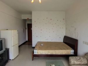 东海湾公寓 1室0厅 32㎡ 满五唯一_佛山禅城区张槎二手房图片