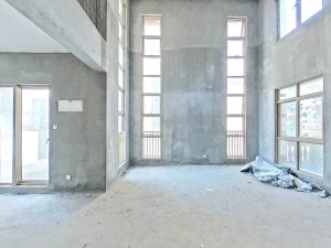 熙园山院 8室5厅 262.27㎡ 满五唯一深圳龙华区梅林关二手房图片