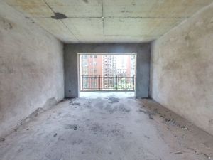 生态丽景二期 电梯小高层，南北通透户型，毛坯4房衡阳蒸湘区陆家新区二手房图片