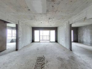 珠江云锦 4室2厅 179㎡ 毛坯 珠江云锦 4室2厅 179㎡ 毛坯衡阳雁峰区南郊公园二手房图片