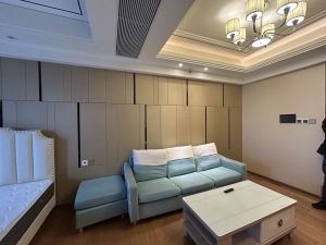 恒大城市之光 48平1房1厅南北通，总价110万深圳龙岗区龙岗中心城二手房图片