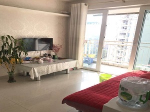 皇庭世纪 1室1厅 40.24㎡ 满五唯一深圳福田区石厦二手房图片