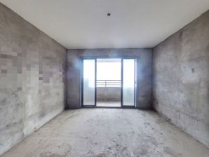 东城国际 3室2厅 143㎡ 毛坯衡阳珠晖区酃湖万达广场二手房图片