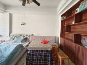 龙泉大厦 1室1厅 41㎡ 简装郴州北湖区龙泉二手房图片